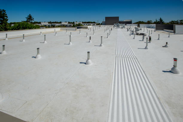 Best Asphalt Shingle Roofing  in Farngton, MI